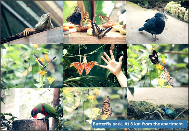 Апартаменты на Росас / Rosas - 302 Nuria B2 InmoSantos 2 Rooms Appartement Roses Апартаменты на Росас / Rosas - 302 Nuria B2 InmoSantos 2 Rooms Appartement Roses